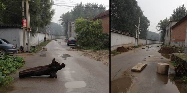 (73) Bumpers Shahe-2