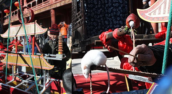 (83) Tempelfestival-6