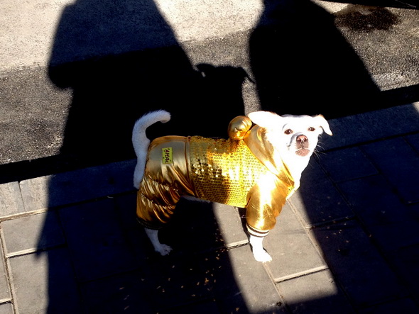 (96) Opvallende dingen-05