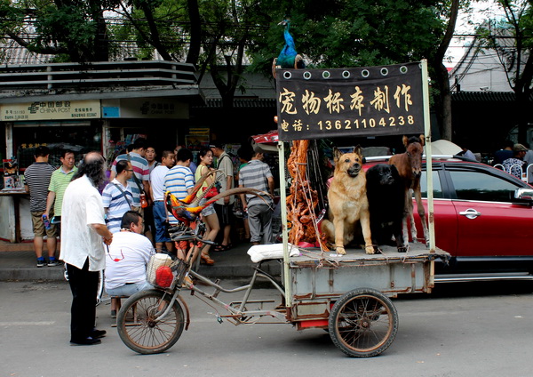 (144) Opvallend-2 (6)