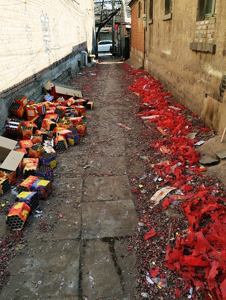 (193) Nieuwjaarsbezoek-2