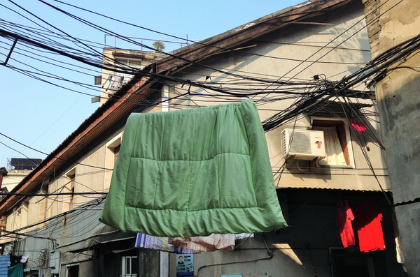 (211) Opvallend-4 (8)