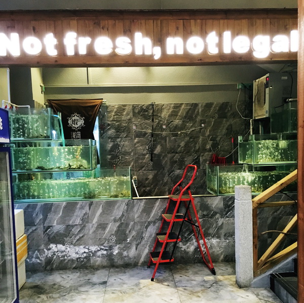 (211) Opvallend-4 (9)