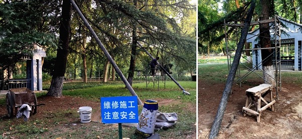 237-mr-gao-en-mr-xia-1