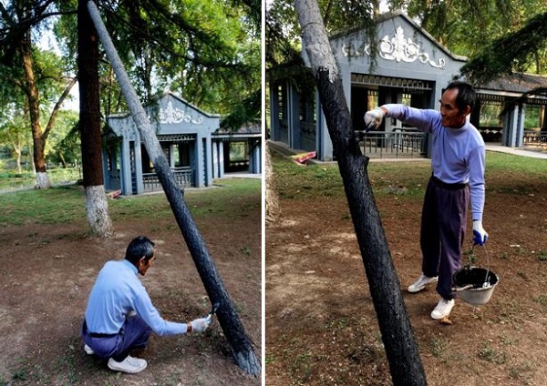 237-mr-gao-en-mr-xia-3